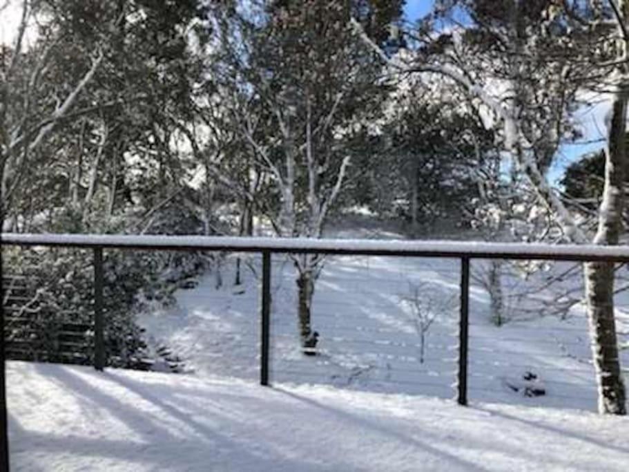 קטומבה Narrow Neck Views - Peaceful 4 Bedroom Home With Stunning Views! מראה חיצוני תמונה